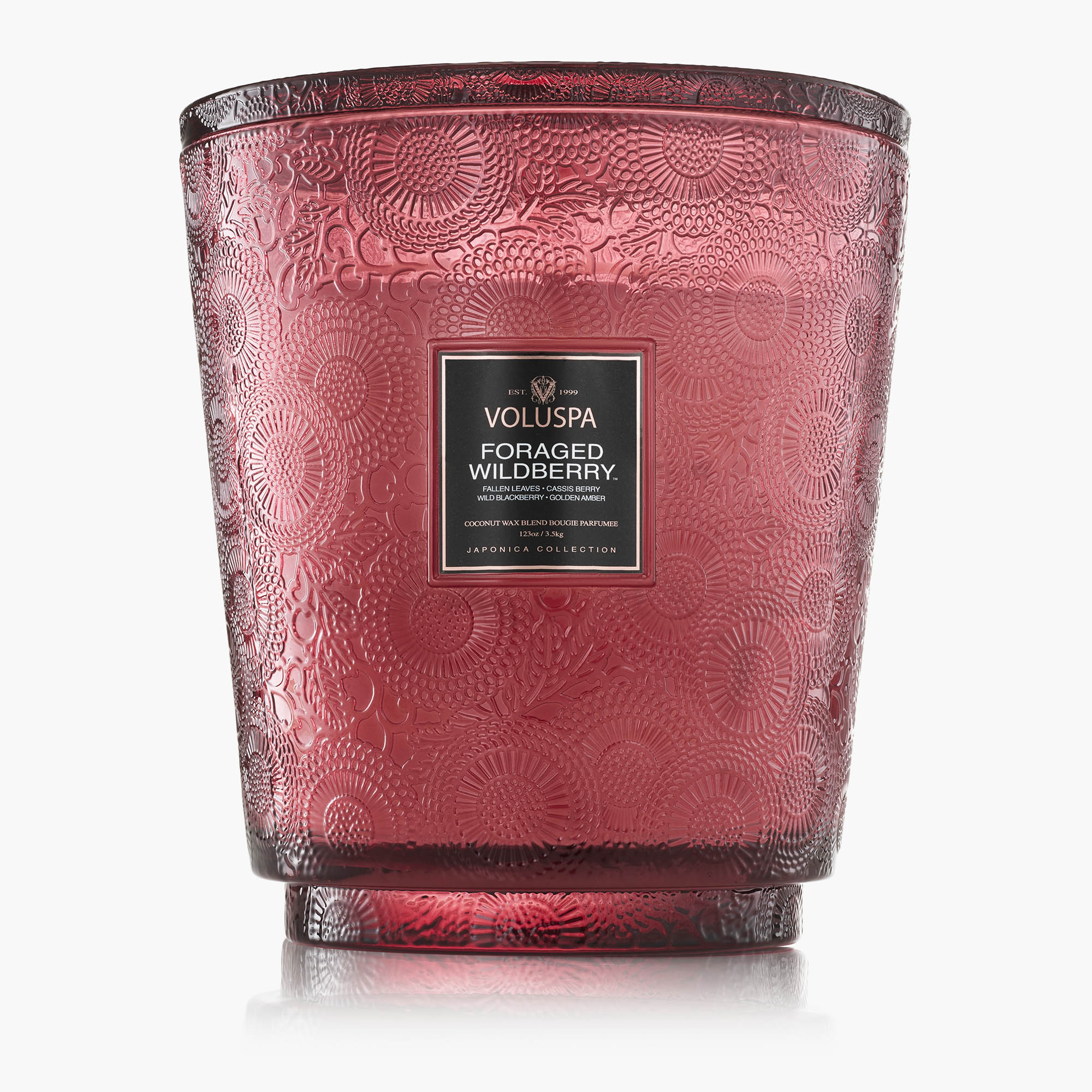 Foraged Wildberry - 5 Wick Hearth Candle