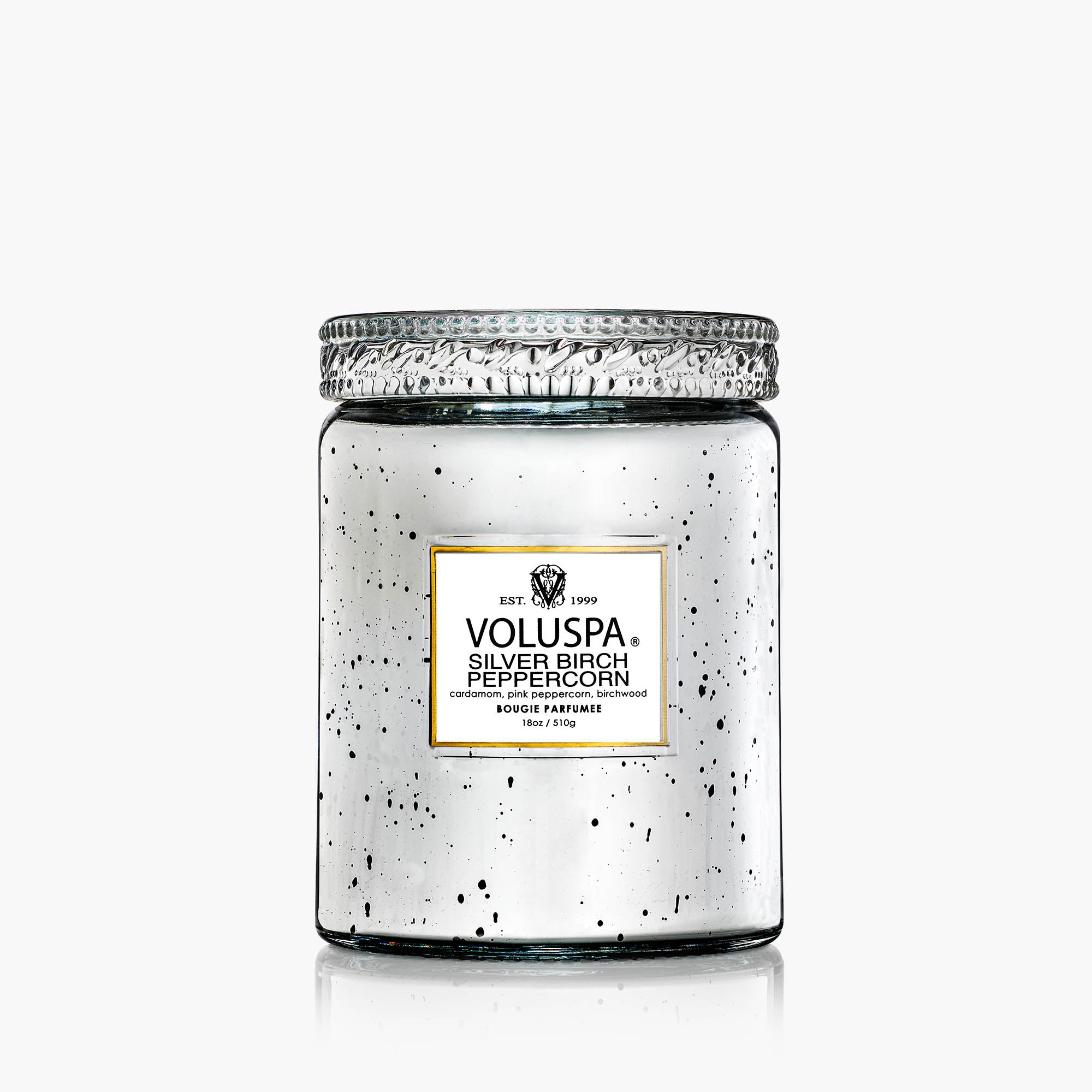 Silver Birch Peppercorn - Large Jar Candle